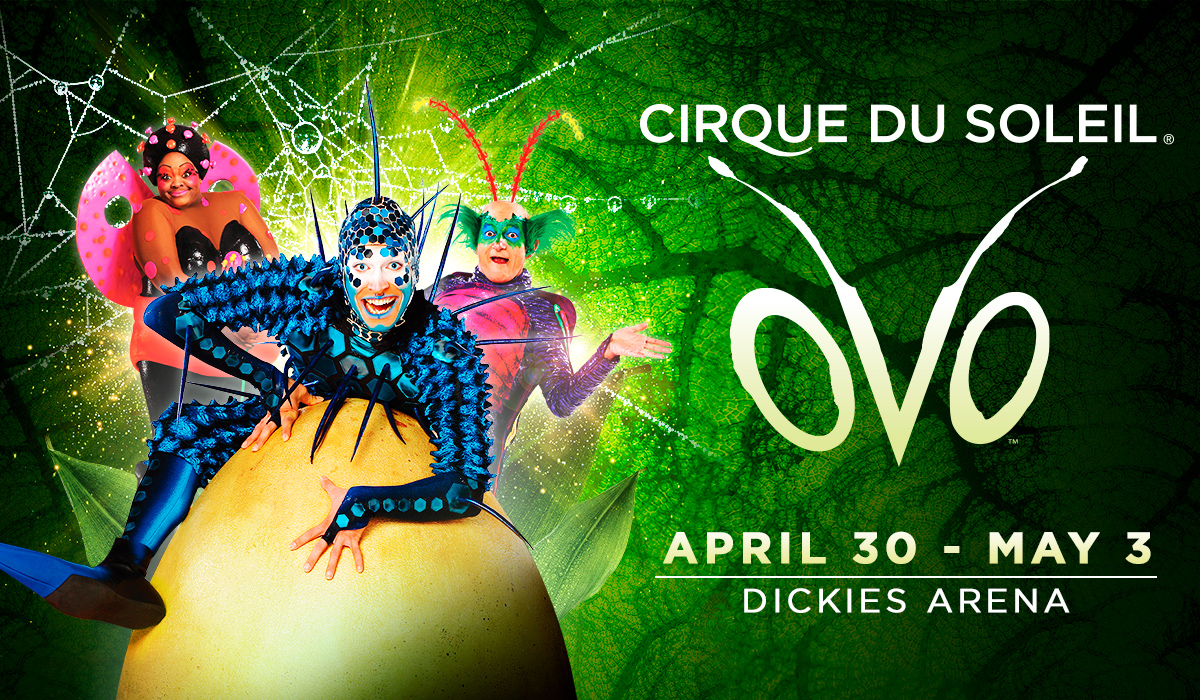 OVO from Cirque du Soleil - Event Listing